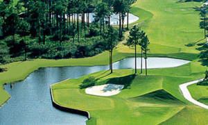 Palmetto Hall Golf Course