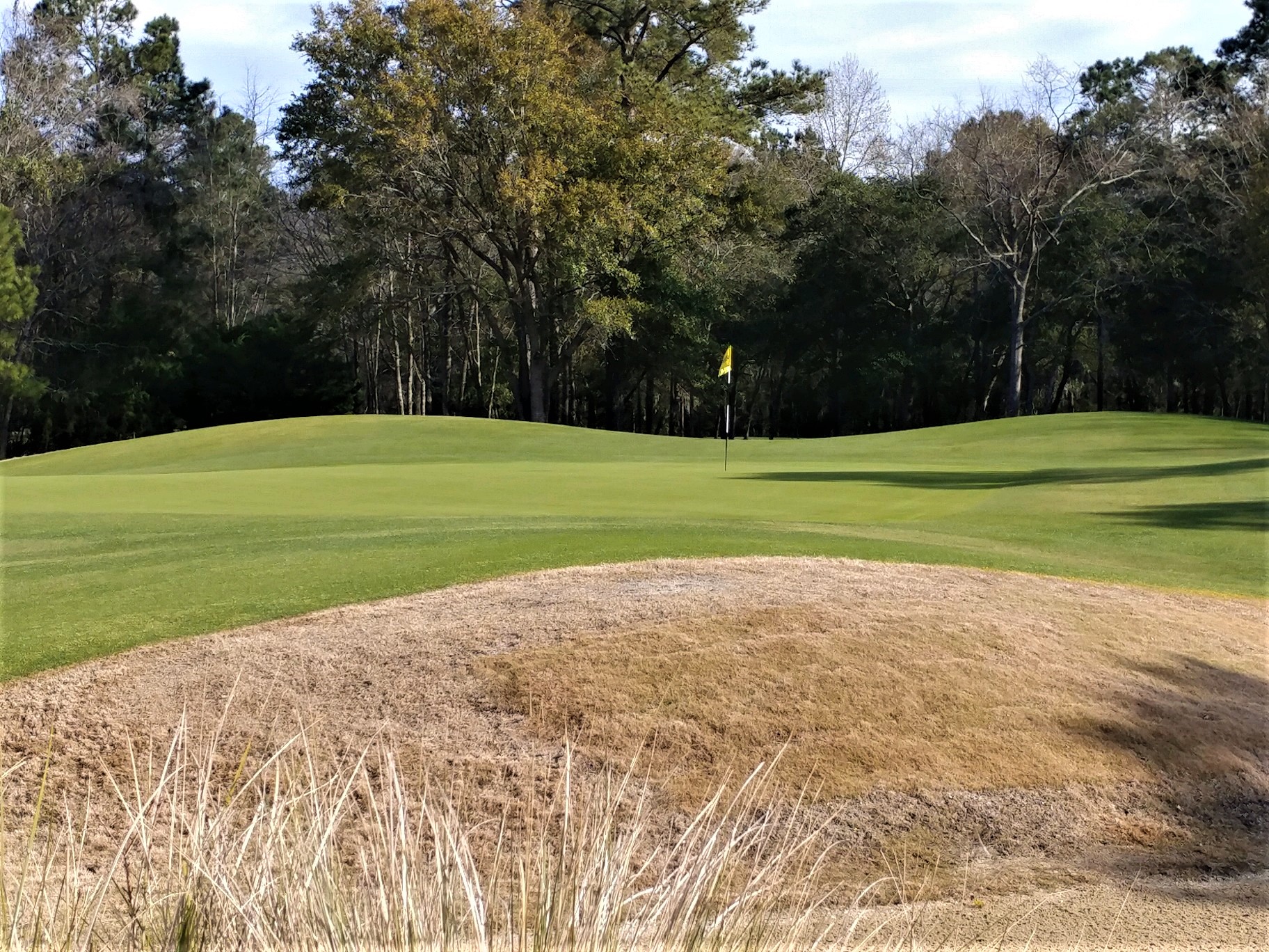 Barefoot Golf Resort Myrtle Beach